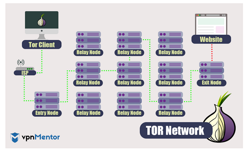 Infografiek die laat zien hoe de Tor-netwerk gegevens routeert via relay-knooppunten