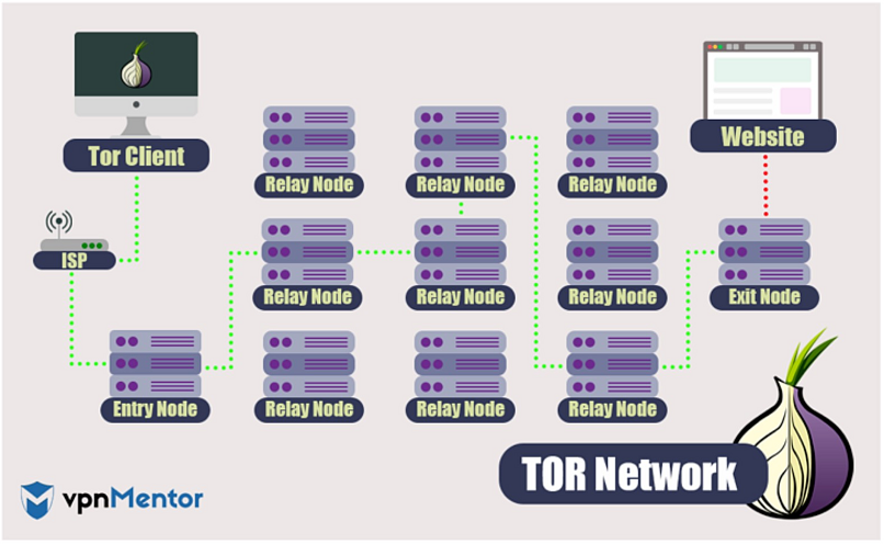 Diagram of the Tor network