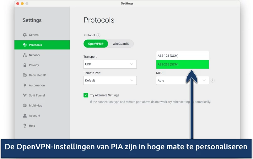 Screenshot showing the customization options on PIA's Settings menu