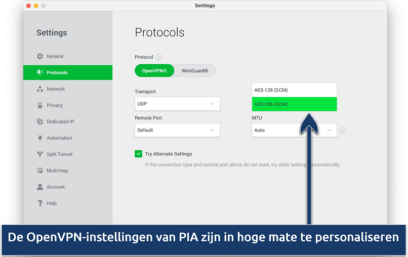 Screenshot showing the customization options on PIA's Settings menu