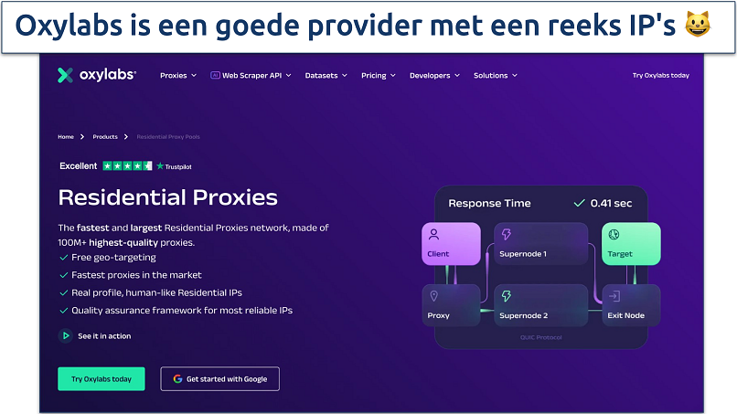 Screenshot of the Oxylabs proxies page