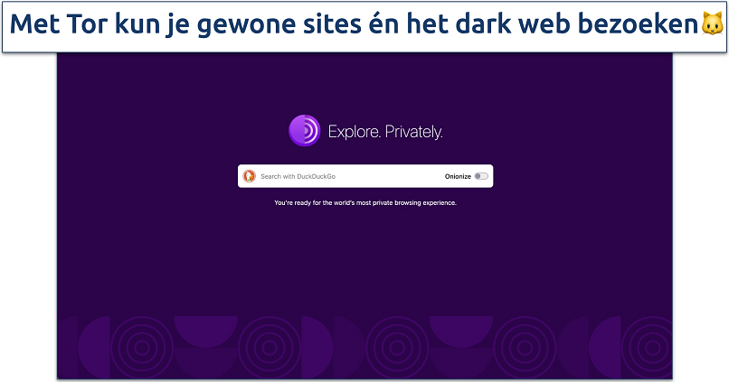 Screenshot of the Tor Browser homepage