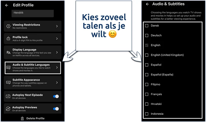 Screenshot of the Netflix mobile app language selection settings